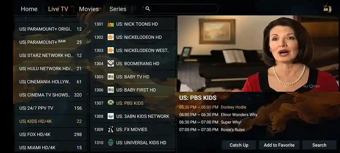 Preview 4 - 4K OTT Premium IPTV Subscription